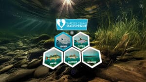 wirtualny spacer wideo 360 projekt edukacyjny ryby rybołówstwo